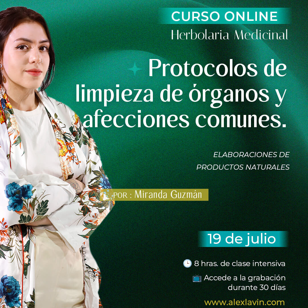 Herbolaria Medicinal: Protocolos de limpieza de órganos y afecciones comunes
